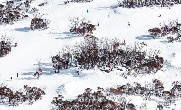 People skiing down the slopes of Thredbo.