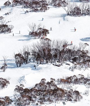 <p>A guide to the <i>best things</i> to do in <strong>Thredbo</strong></p>
