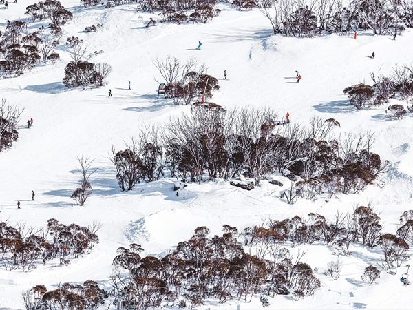 People skiing down a slope in Thredbo.