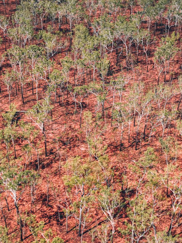 Sweeping rusty dirt roads