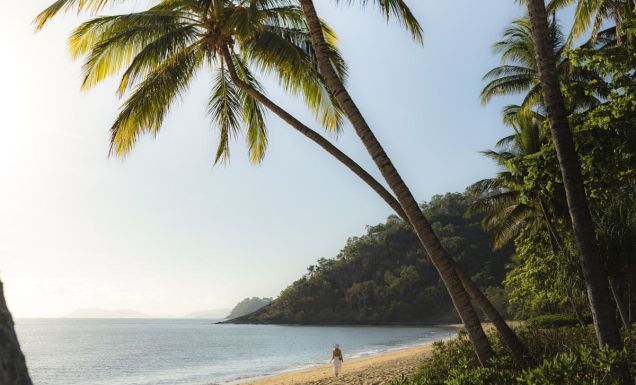 29 unmissable things to do in Cairns