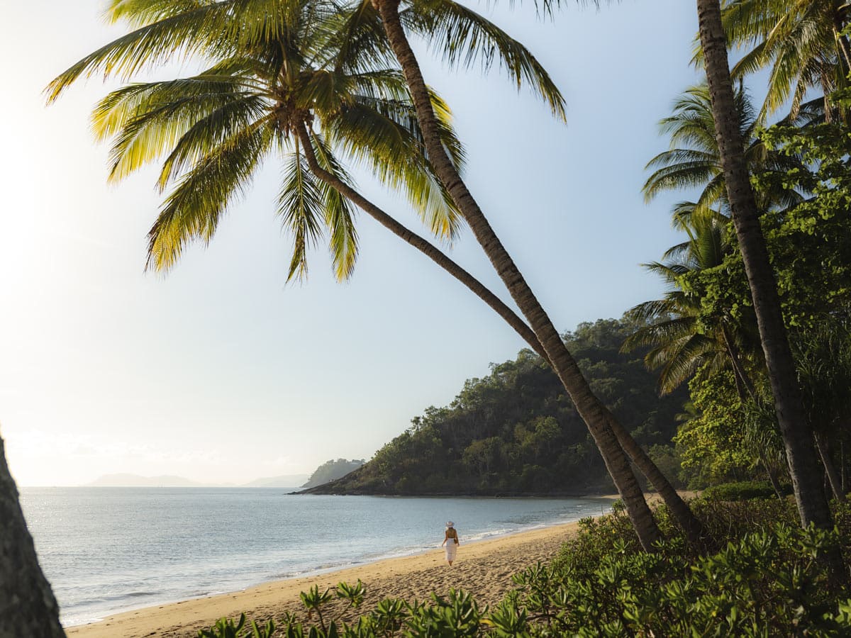 29 Unmissable Things To Do In Cairns | Australian Traveller