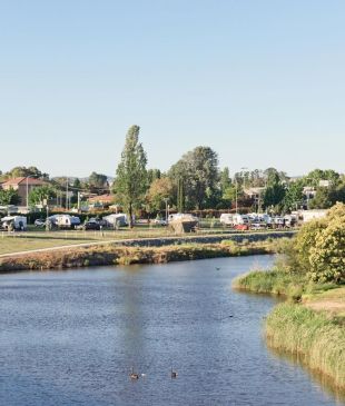 <p><i>An essential</i> <strong>Canberra</strong> caravan park and camping guide</p>
