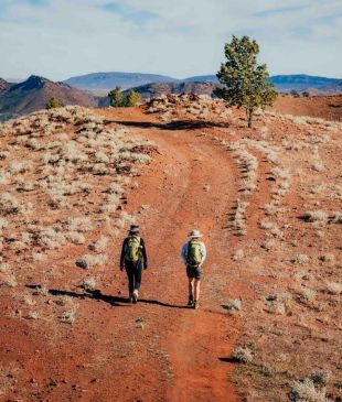 <p><i>The Arkaba walk</i> that “rewilds your spirit”</p>
