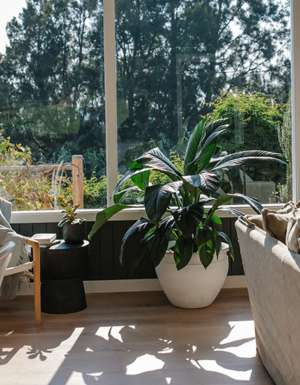 Jamberoo Valley Farm Cottage, jamberoo accommodation