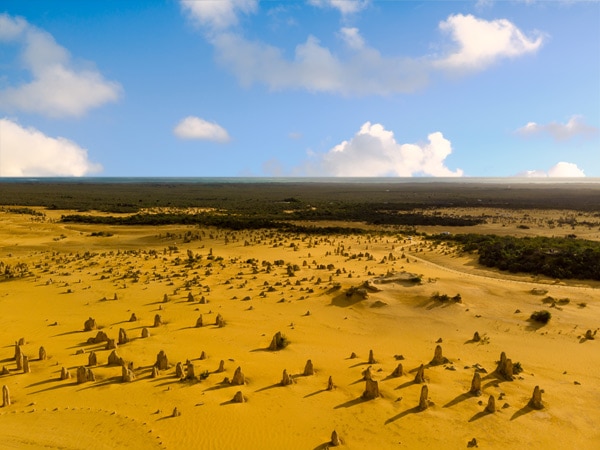 the limestone formations at The Pinnacles of Nambung National Park