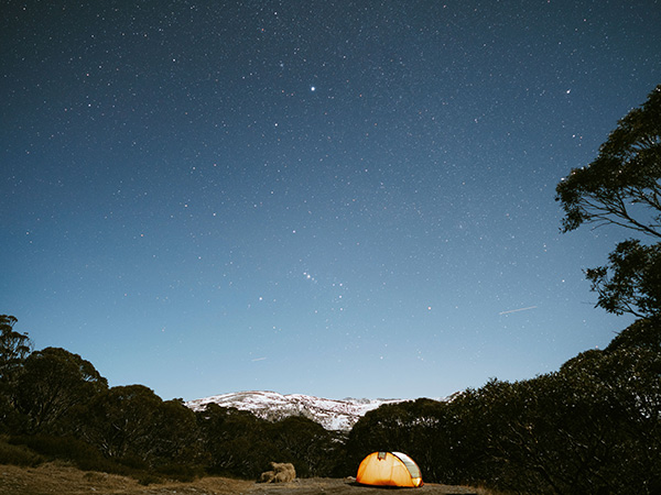 Island Bend campground