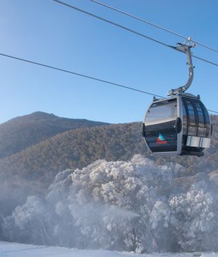 <p><i>Nail skiing</i> in <strong>Thredbo</strong> with our <i>ultimate guide</i> to <strong>Thredbo</strong> Ski Resort</p>
