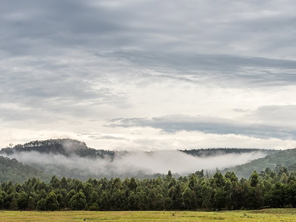 the landscape of bundanon