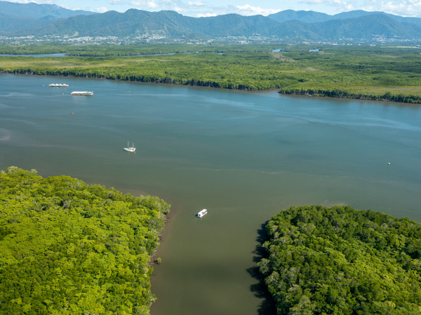 an aerial view of boats on Trinity Inlet, Cairns tours