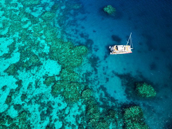 a Full-Day Great Barrier Reef Tour with Passions of Paradise