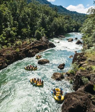 <p><i>Your go-to guide</i> for the best tours in <strong>Cairns</strong> by interest</p>
