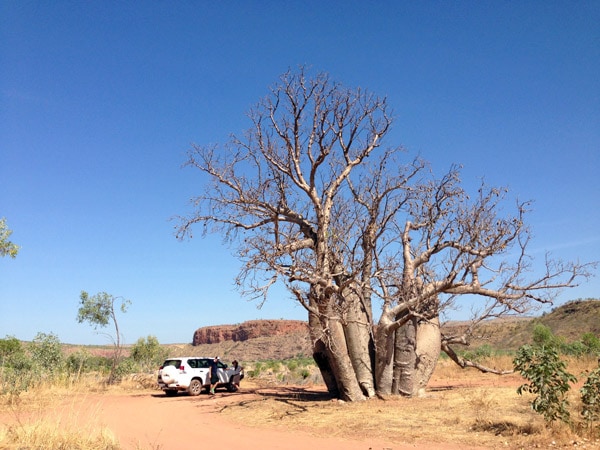 a rugged landscape at the El Questro Wilderness Park