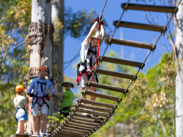 a kid conquering the TreeTop Challenge, Thunderbird Park