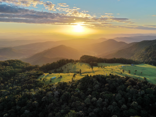 sunrise views at O'Reilly's Rainforest Retreat