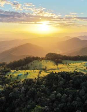 sunrise views at O'Reilly's Rainforest Retreat