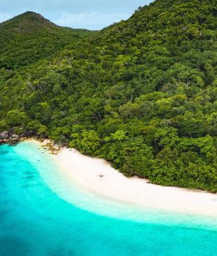 <p><i>10 unforgettable day trips</i> from <strong>Cairns</strong></p>
