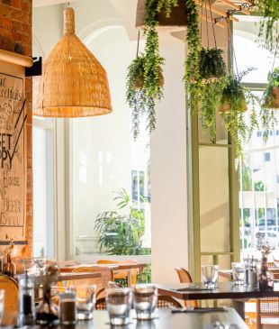 <p><i>Start your day</i> at these top 12 cafes in <strong>Cairns</strong></p>
