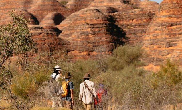 a guided walking and hiking tour at Purnululu National Park