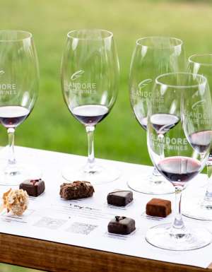 Glandore Estate Wines chocolate and wine pairing experience in the Hunter Valley