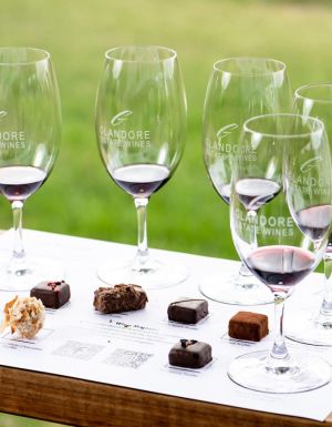 Glandore Estate Wines chocolate and wine pairing experience in the Hunter Valley