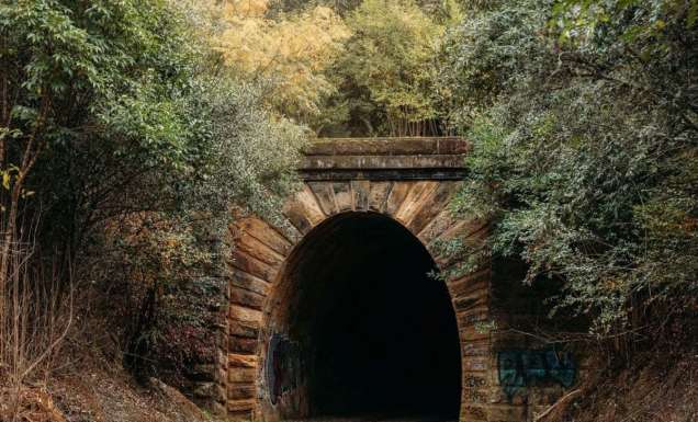the dark entrance of Picton Mushroom Tunnel