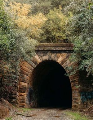 the dark entrance of Picton Mushroom Tunnel