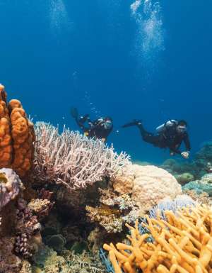 A guide to the best snorkelling and diving spots in Cairns