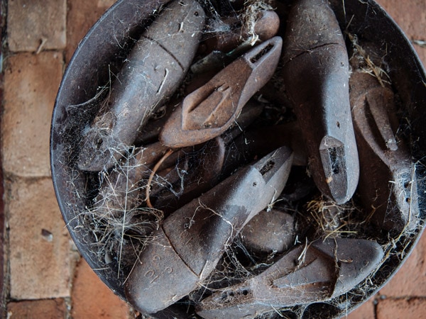 cobwebs covering old objects inside Monte Cristo Homestead, Junee, NSW