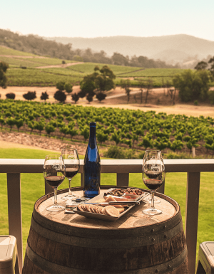 Hunter Valley wineries