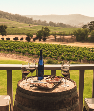 <p><i>31 of the best vineyards</i> in the <strong>Hunter Valley</strong></p>
