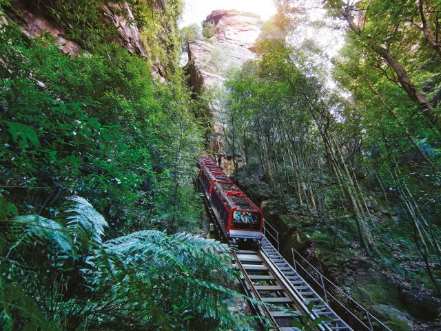 Scenic Railway, Scenic World