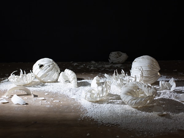 the Dawn Beasley’s Botanically Porcelain at NCCA