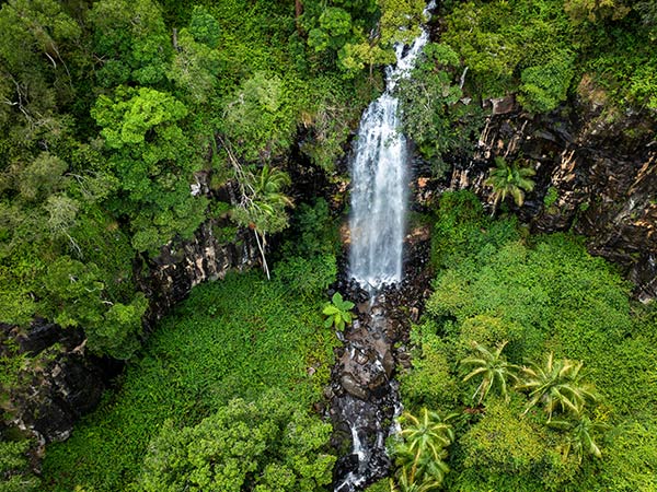 gondwana rainforest experiences, Cameron Falls at Tamborine Mountain