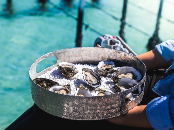 freshly picked oysters at Coffin Bay Oyster Farm in South Australia