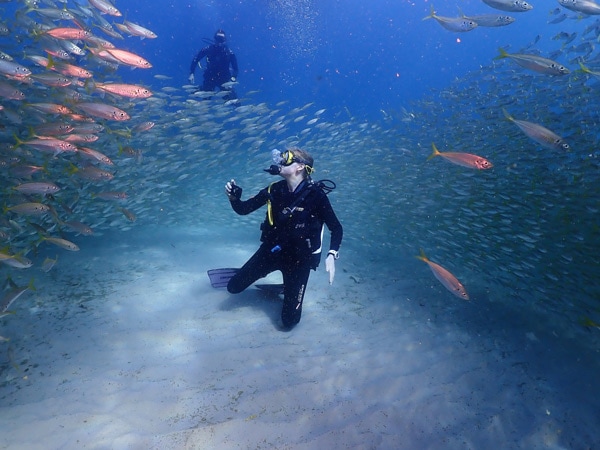 diving with Forster Dive Centre