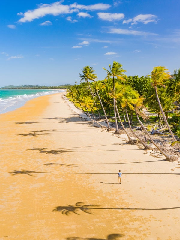 a palm-fringed beach in Tropical North Queensland