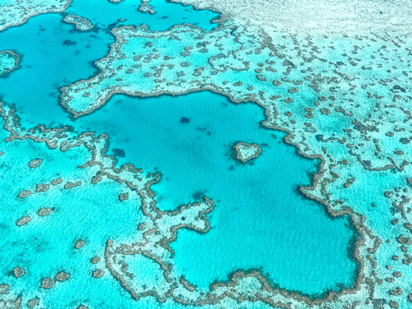 an aerial view of the Great Barrier Reef in The Whitsundays