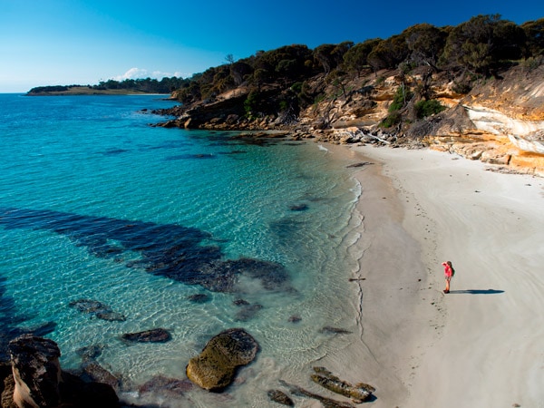an aerial view of the Maria Island, Tasmania