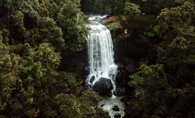 Millaa Millaa Falls near Cairns