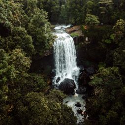 Millaa Millaa Falls near Cairns