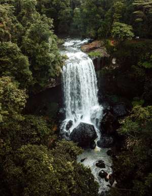 Millaa Millaa Falls near Cairns