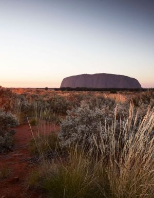 Uluru at sunset