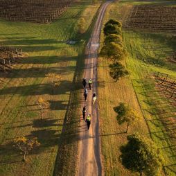 an aerial view of Hunter Valley Horses, Pokolbin