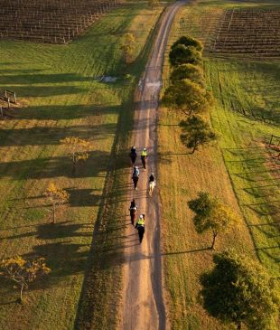 <p><i>15 unique</i> <strong>Hunter Valley</strong> wine tours for more than just transport</p>
