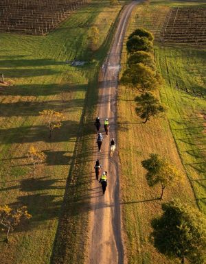 an aerial view of Hunter Valley Horses, Pokolbin