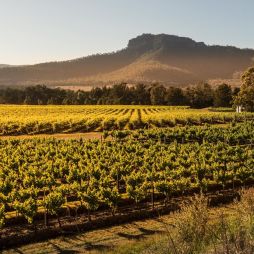 Australia’s first wine region reveals its undiscovered side