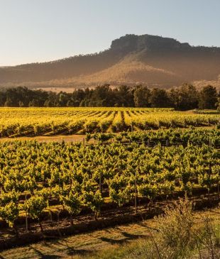 <p><strong>Australia’s</strong> <i>first wine region</i> reveals its undiscovered side</p>
