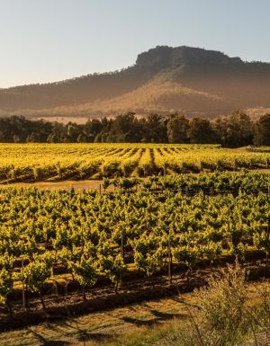 Australia’s first wine region reveals its undiscovered side