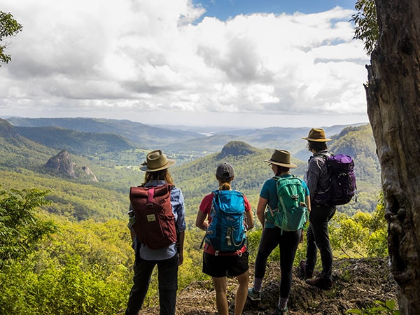 Lamington National Park Binna Burra view with ParkTours, gondwana rainforest experiences